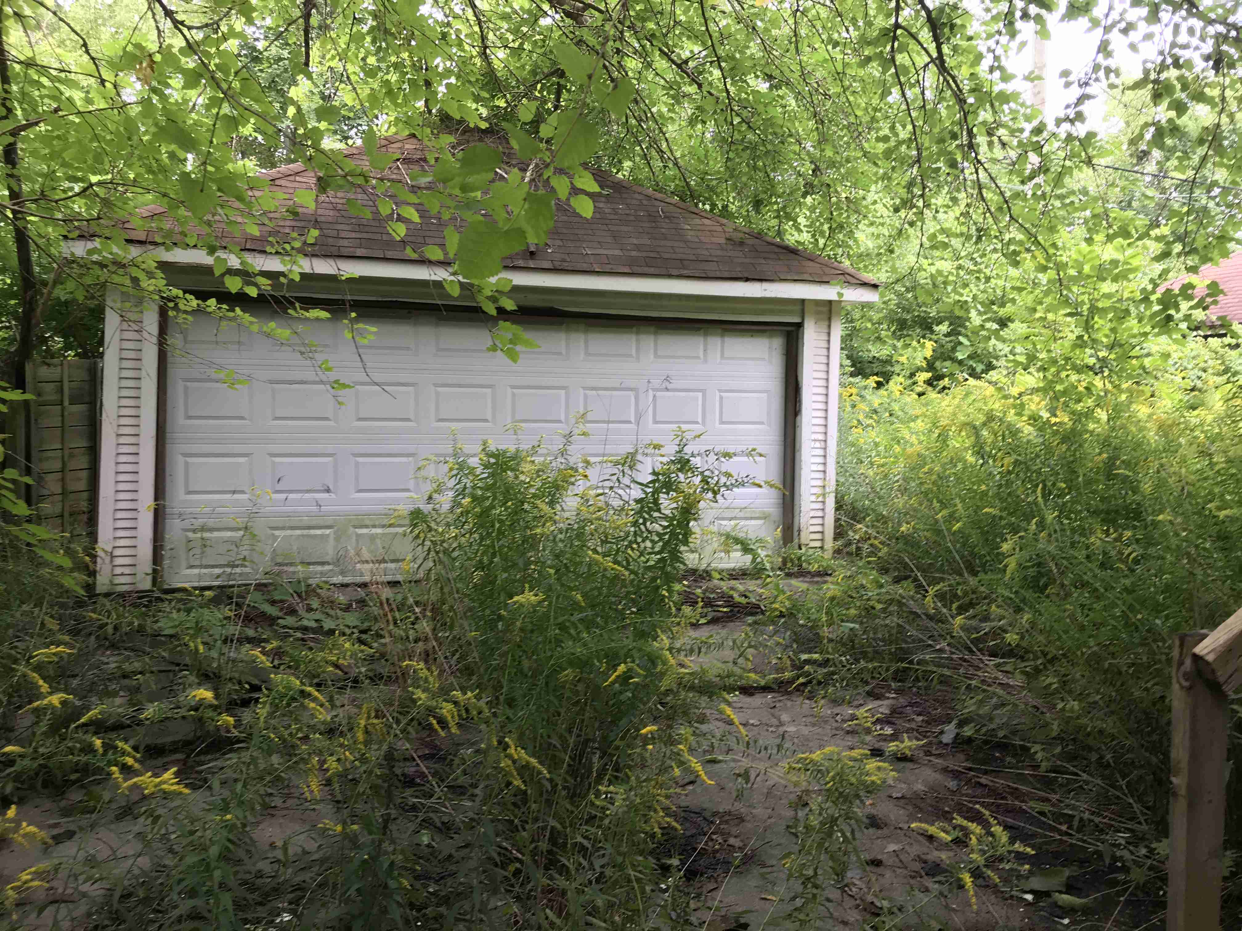 Photo Sep 09, 12 42 21 PM.jpg